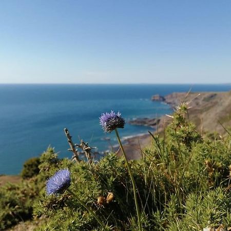 Kiberick Cottage At Crackington Haven, Near Bude And Boscastle, Cornwall מראה חיצוני תמונה