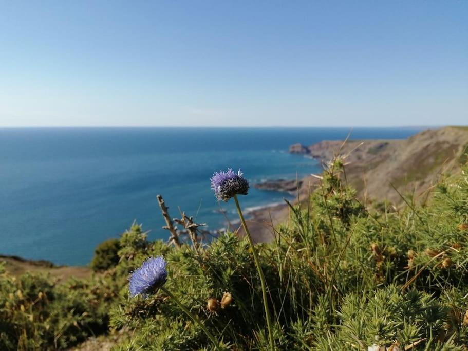 Kiberick Cottage At Crackington Haven, Near Bude And Boscastle, Cornwall מראה חיצוני תמונה